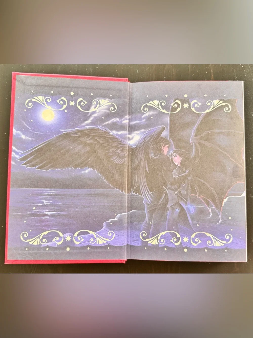 OwlCrate Special Edition of the Crowns of Nyaxia series by Carissa Broadbent - Picture 14 of 16